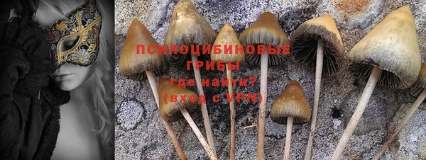 спайс Алзамай