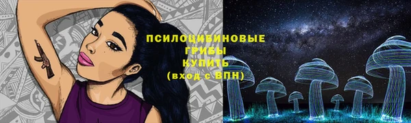 спайс Алзамай