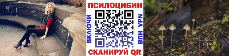 магазин продажи наркотиков  Боготол  Галлюциногенные грибы мицелий 